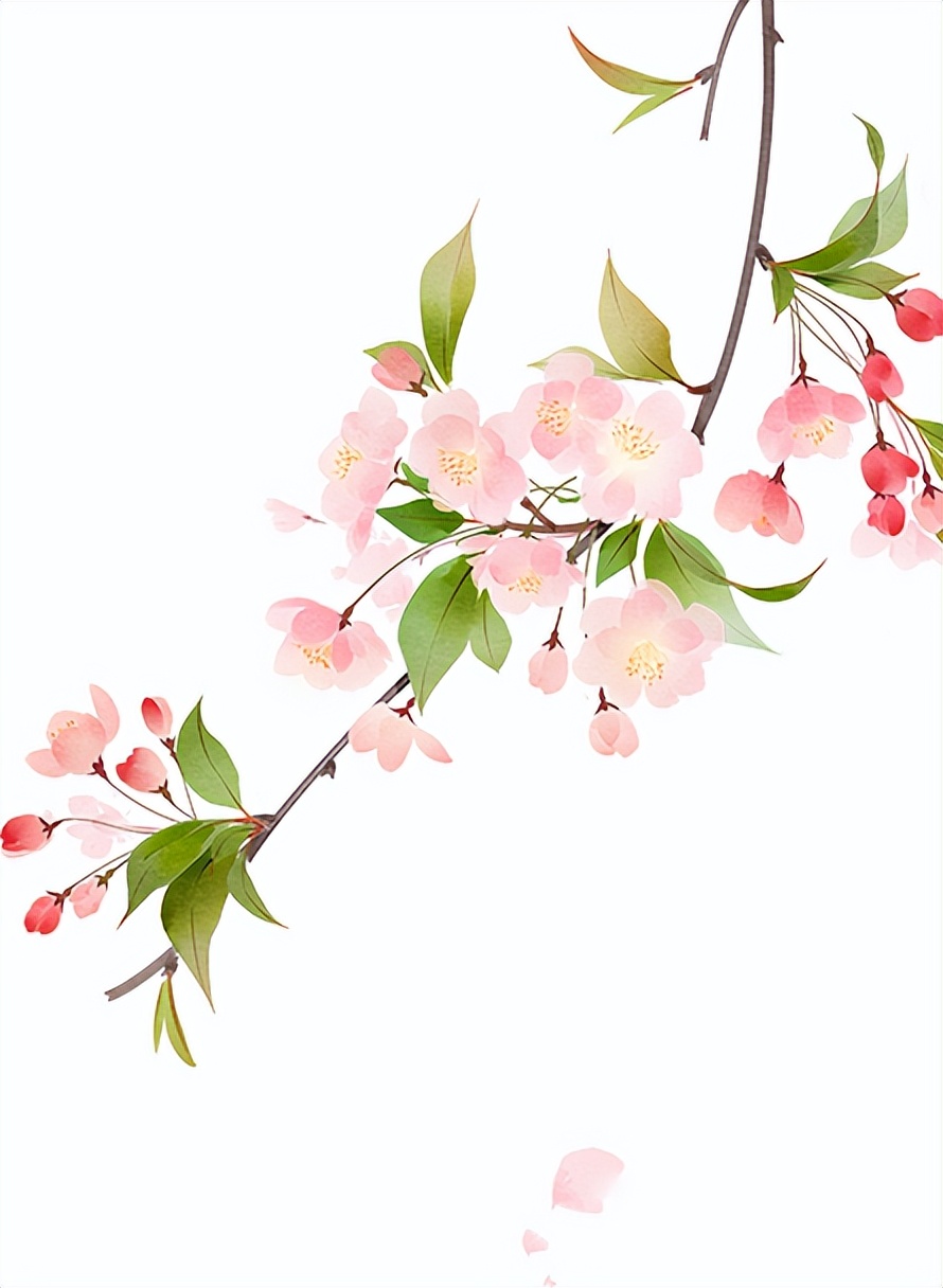 二十四节气从立春开始到大寒,二十四节气歌立春大雪