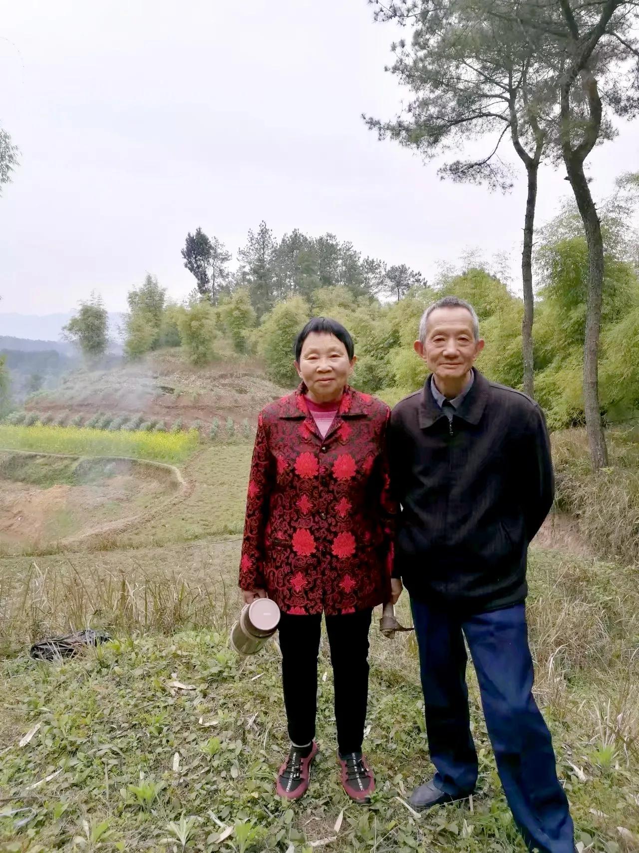 纪实农村通往城市的求学之路