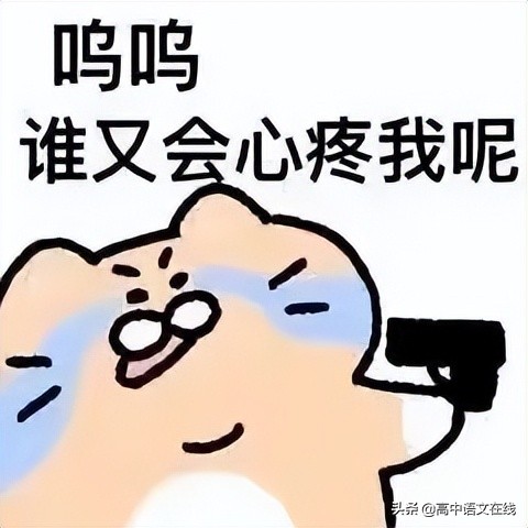 高中生的崩溃瞬间,高中生崩溃瞬间真实盘点