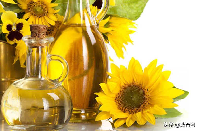 萨摩耶开始掉毛,萨摩耶铲屎官报道