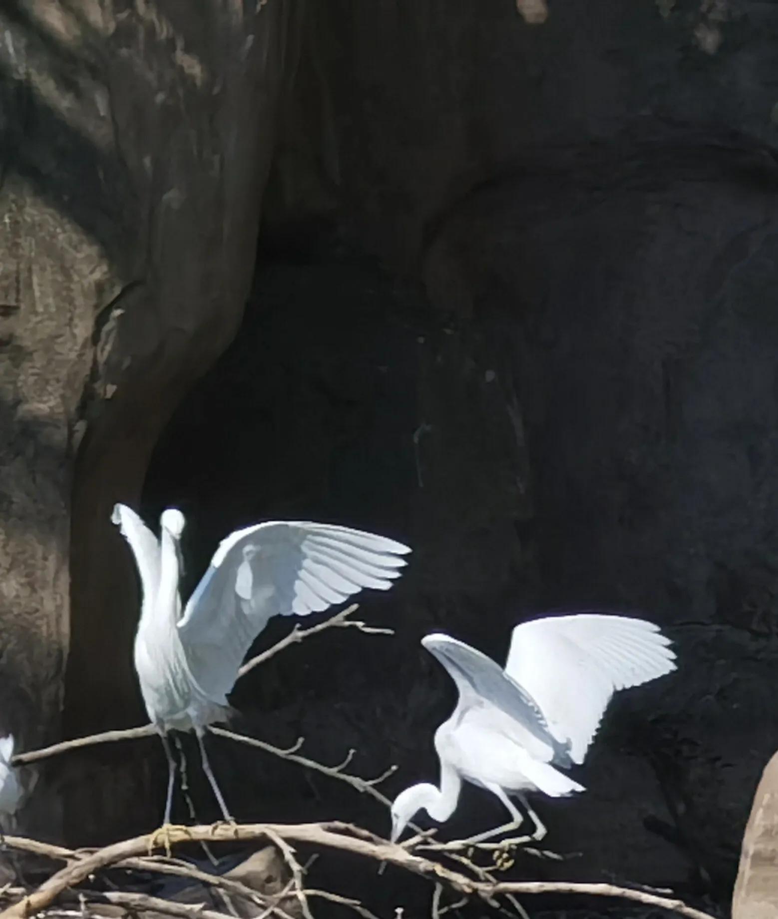 手拍世界作品专集,手拍世界283期