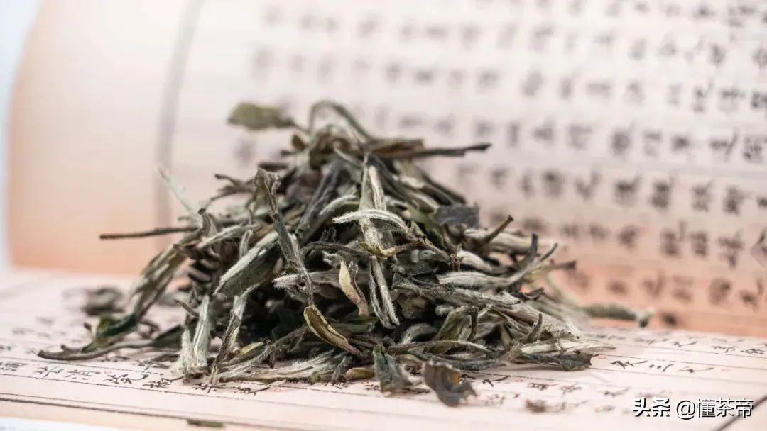 六大茶类分别的代表名茶有哪些,你知道中国六大茶类有什么名茶吗