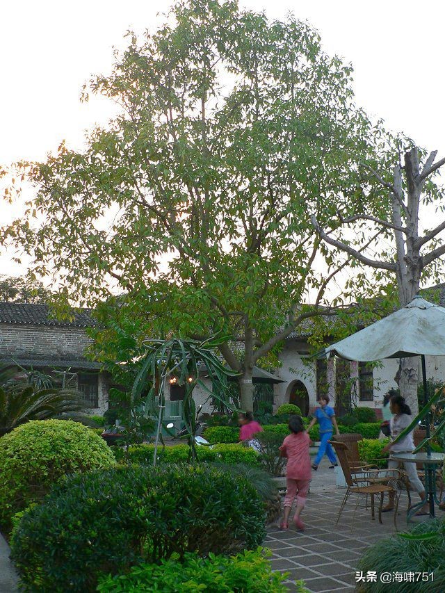 广东韶关始兴县澄江镇,广东韶关始兴县顿岗镇