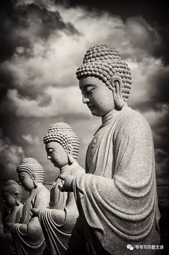 父亲的日记的散文,父亲的散文日记