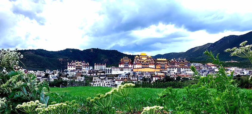 网络大V行走进香格里拉3959万流量共享雪域高原上的全民狂欢