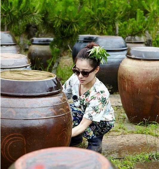 体操皇后刘璇完整版,体操女王刘璇嫁给谁