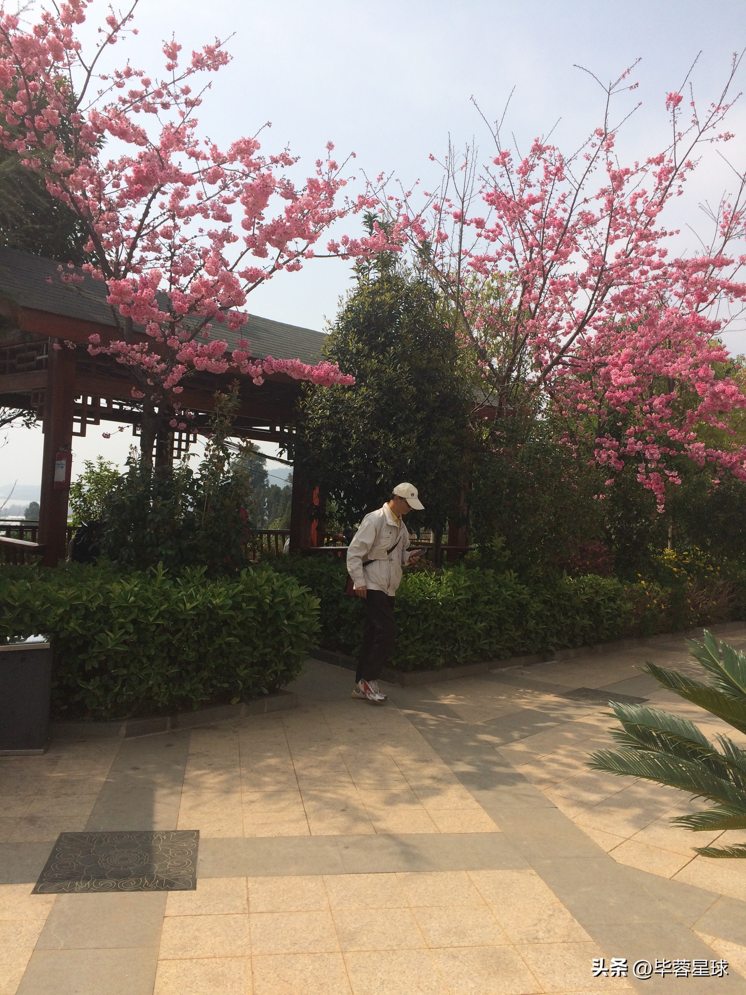 观音山公墓，为外婆下葬的一天，是提醒，是童年青春时代的告别