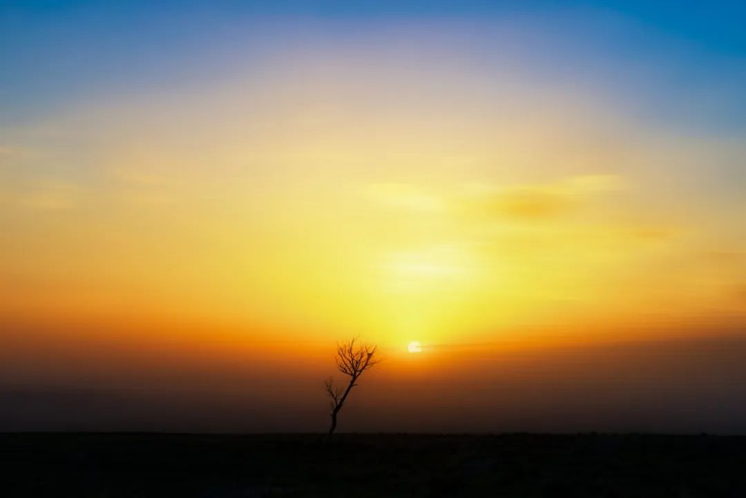 最深情的十句诗句句经典回味无穷,那些让你热血沸腾语录和经典诗词