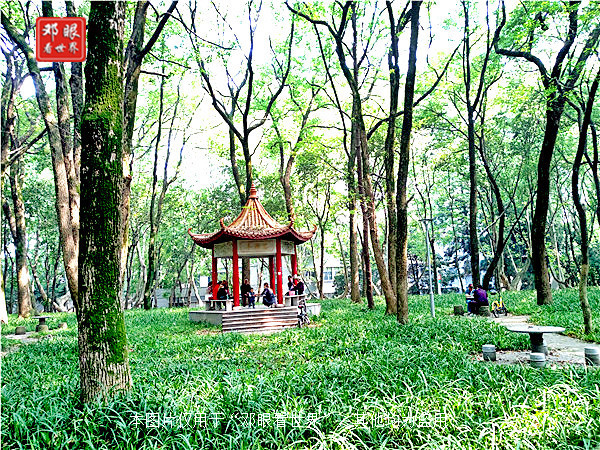 武汉大学跟湖北大学哪个更出名,武汉大学和华中科技大学环境不错