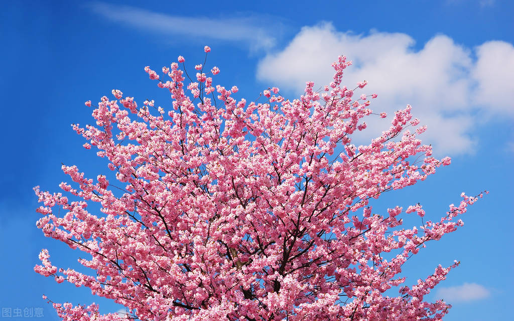 22个护肤小妙招,护肤妙招大全视频