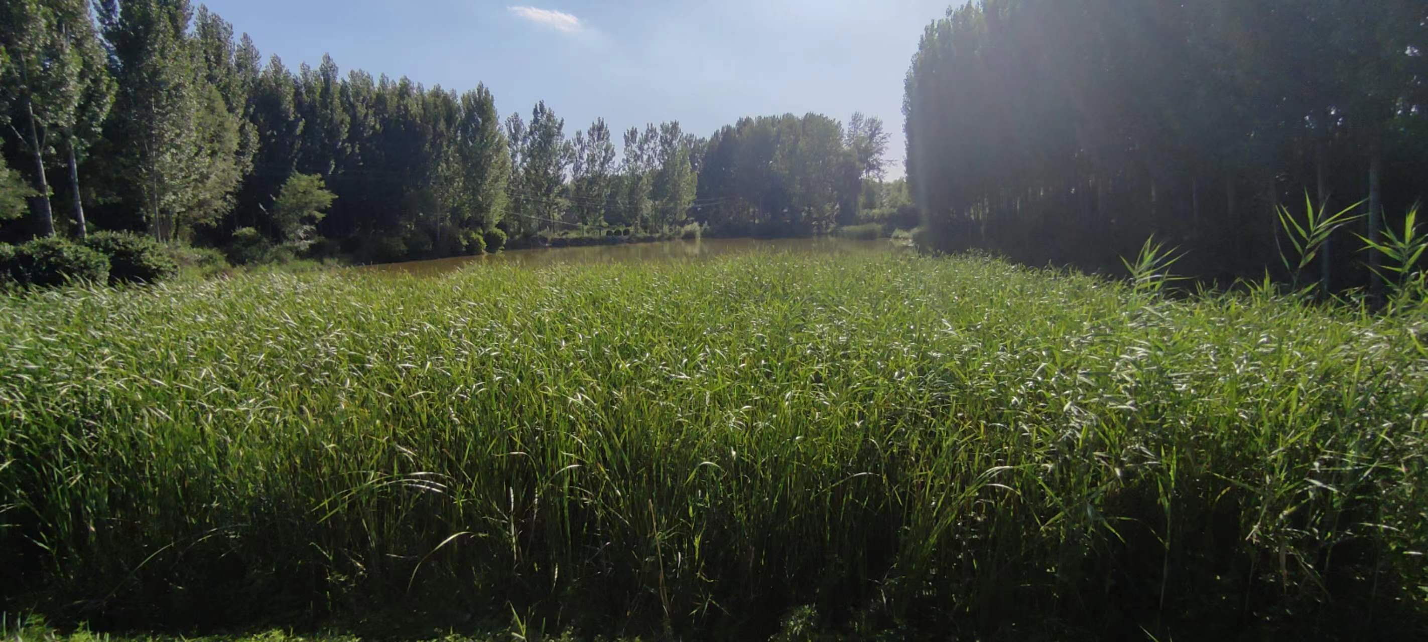 古中国考出彭蠡泽｜张笔魁