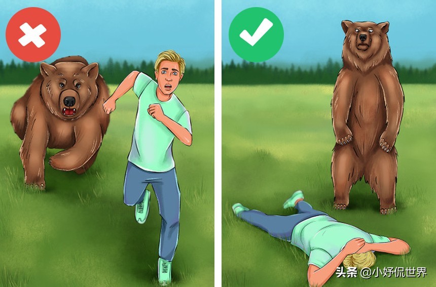 盘点8种面对动物的生存技巧,救命小技巧