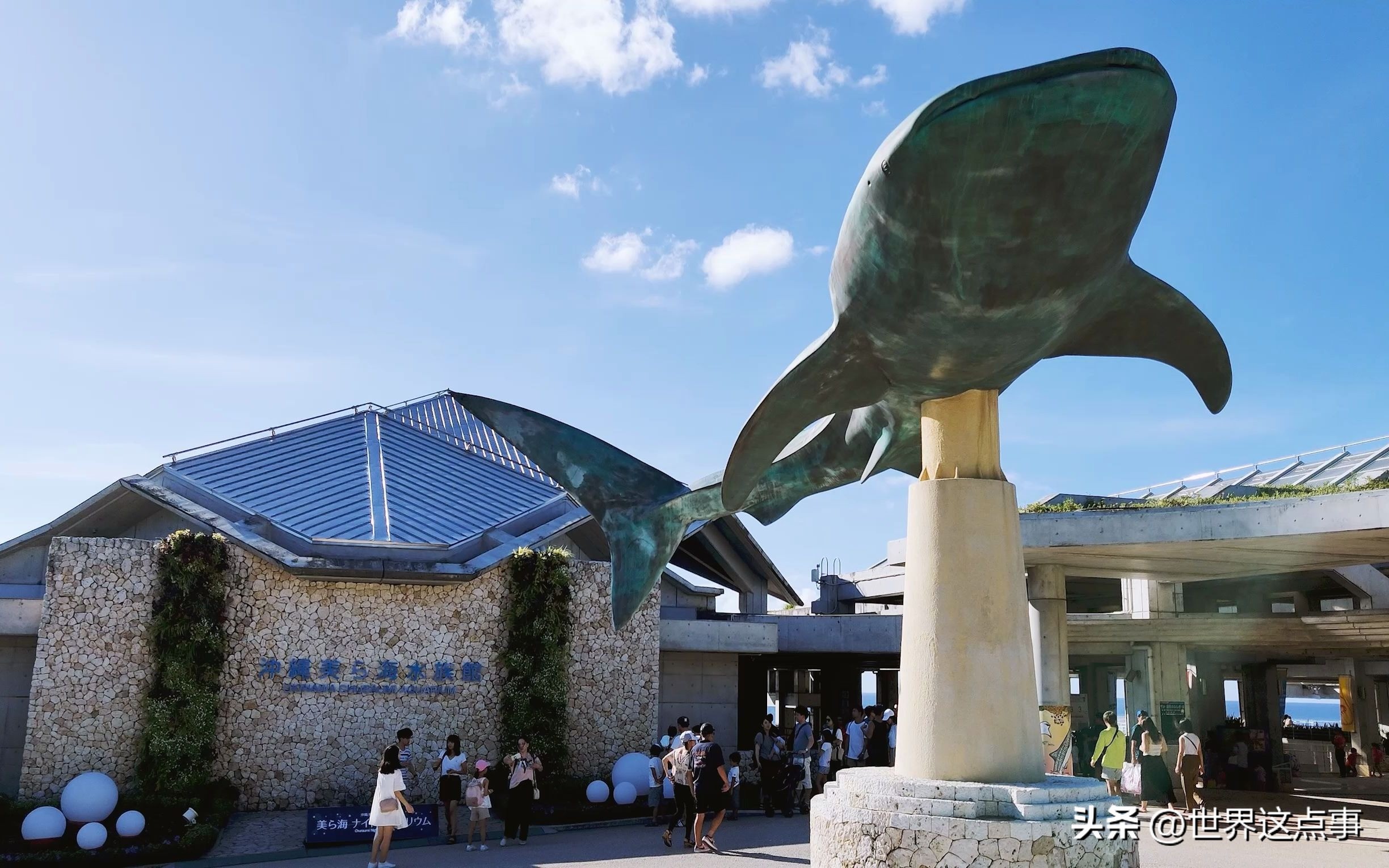 日本旅游攻略自由行最新,日本旅游攻略书有哪些推荐