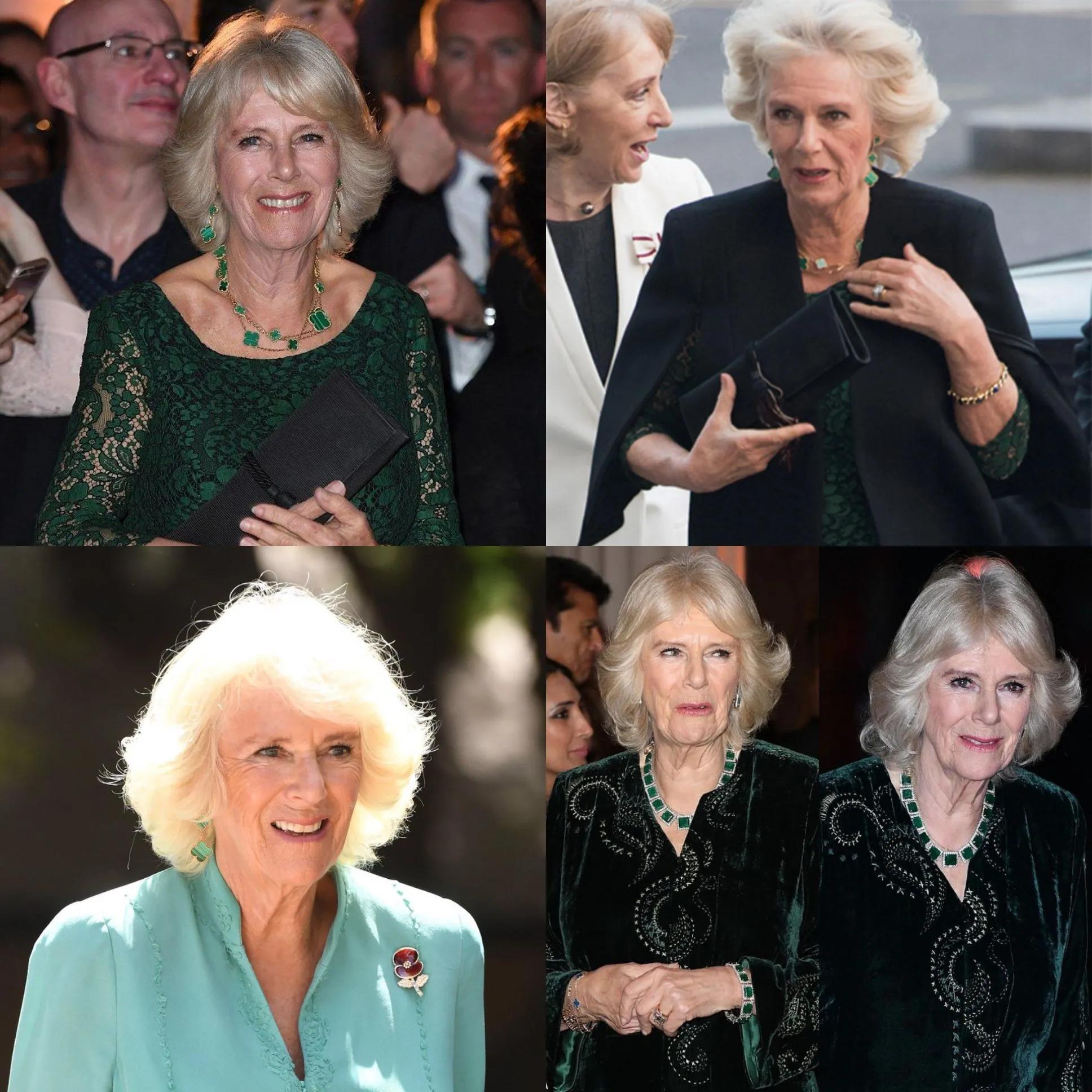 梵克雅宝双面黑白价格,梵克雅宝芭蕾舞胸针卡米拉