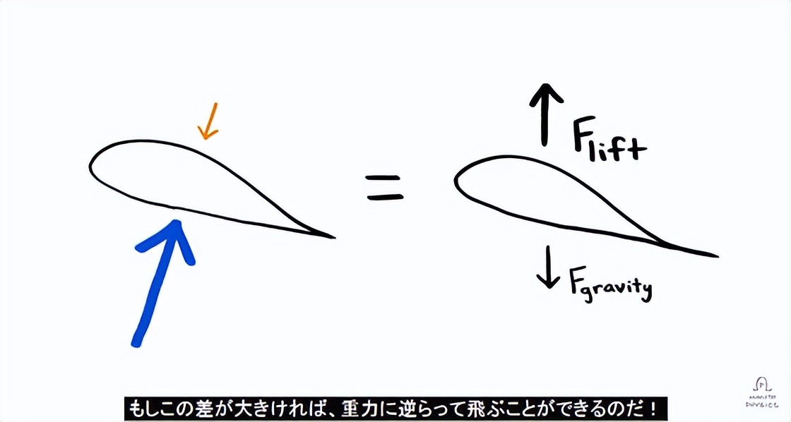 飞机如何飞行的,飞机怎么飞行视频大全