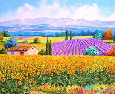 兴趣是最好的老师作文记叙文,兴趣是最好的老师高中作文800字