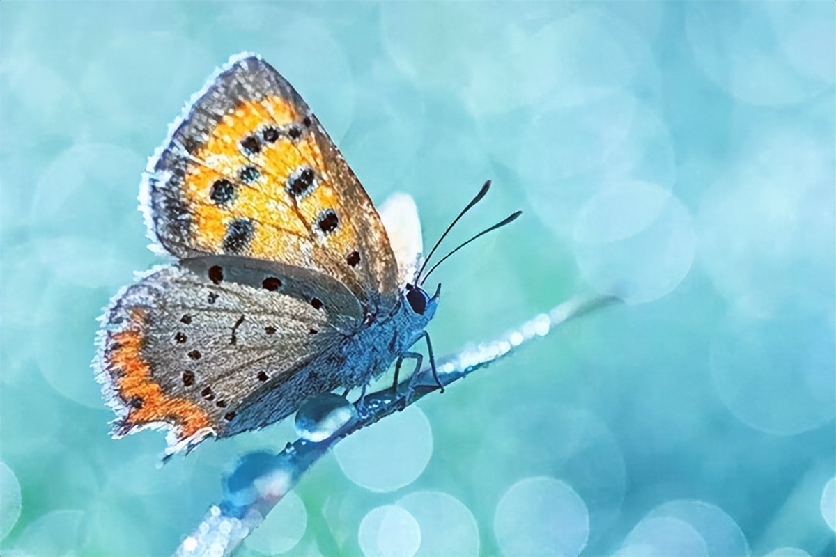 人生怎样活才合适,人生怎么才能活好自己