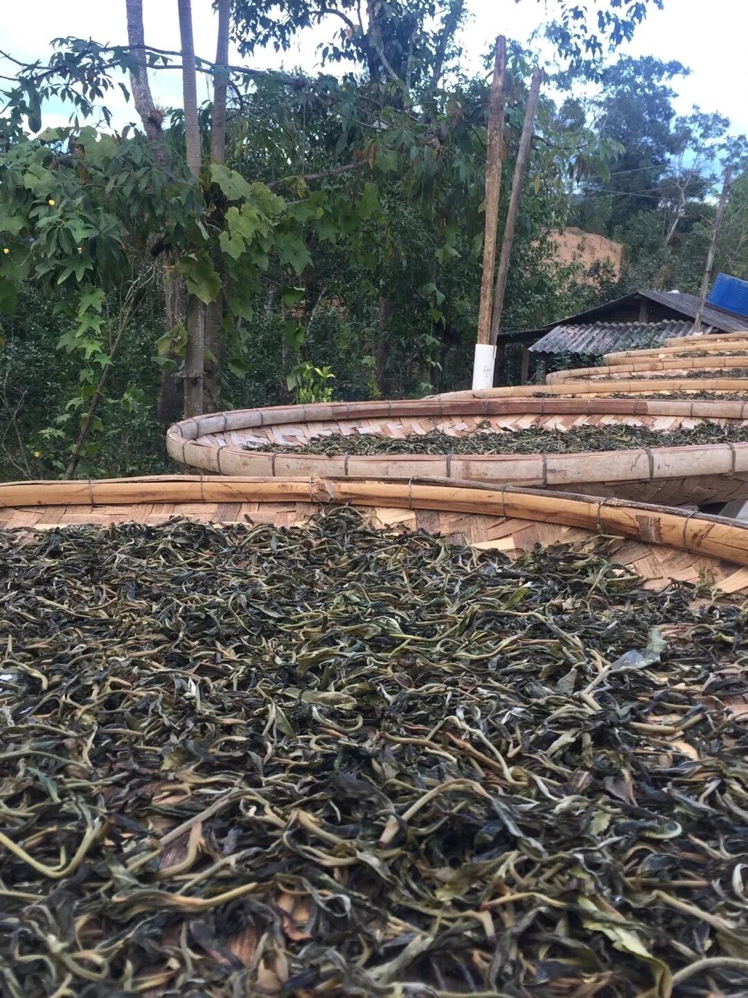 普洱茶惊艳的小产区,一张图看懂100个普洱茶产区
