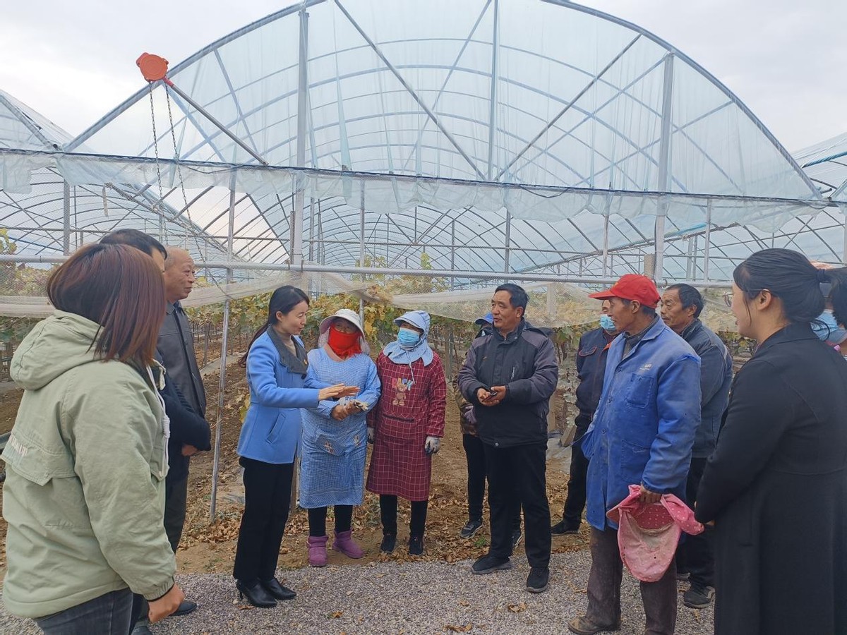 开展精神文明各类创建活动总结,文明花开香满城