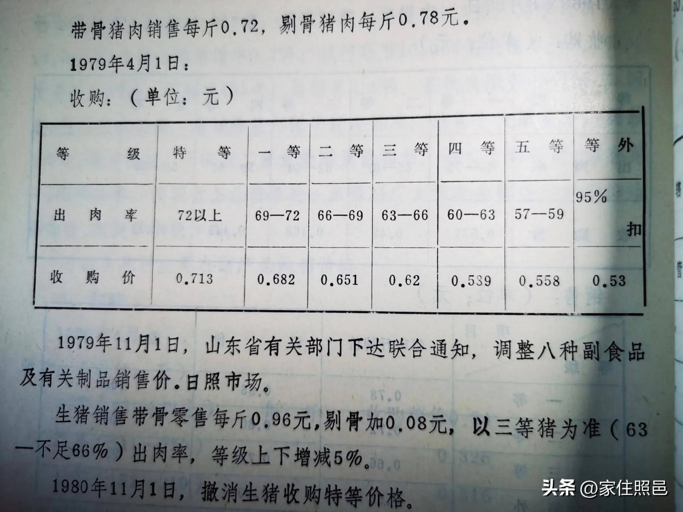 日照有什么好玩的地方,日照绿茶价格表