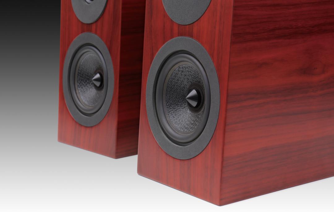 引爆小空间DavisAcousticsCourbetN°3书架式音箱