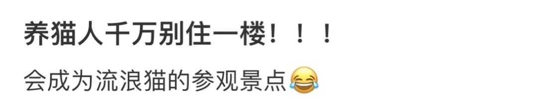 租房选到这层楼，人间第一冤大头