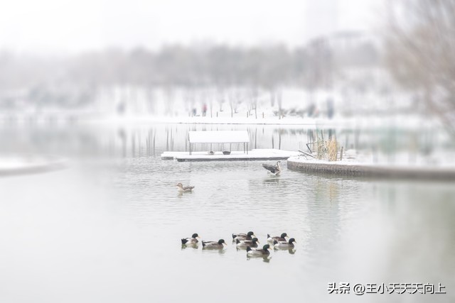 郑州市免费好玩的公园,郑州市区最适合老年人游玩的公园