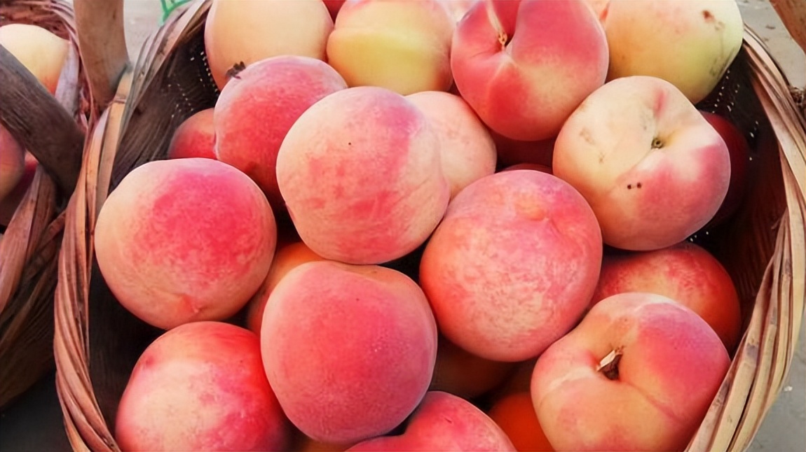 中国地理标志农产品品牌展播,洛阳十大农产品品牌排行榜