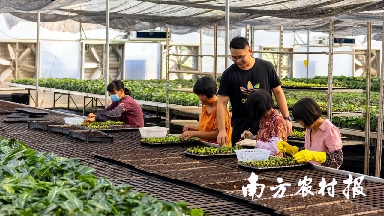 吾心归处为吾乡,吾心归处是原乡歌词