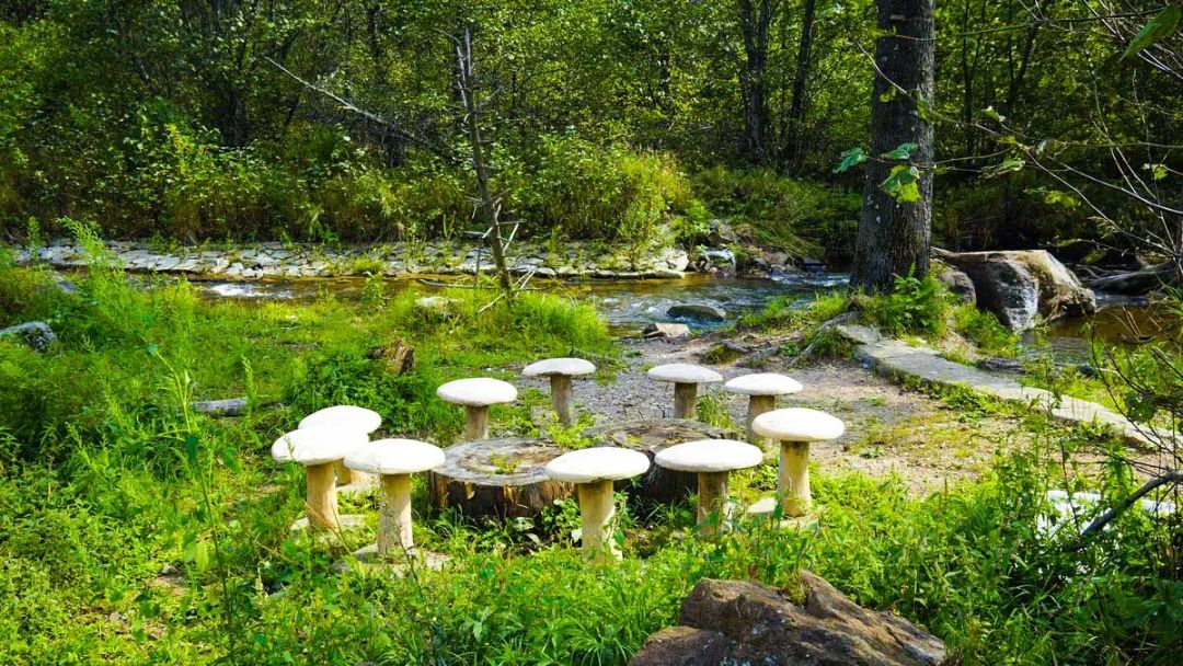 自驾游夏天避暑路线推荐,夏季旅游避暑自驾攻略图