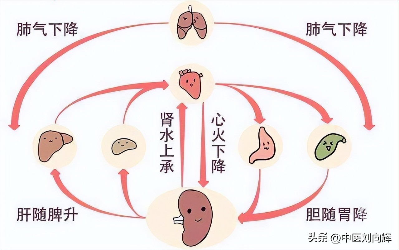 体内有湿脾虚肝郁尿黄,脾湿痰湿小便黄