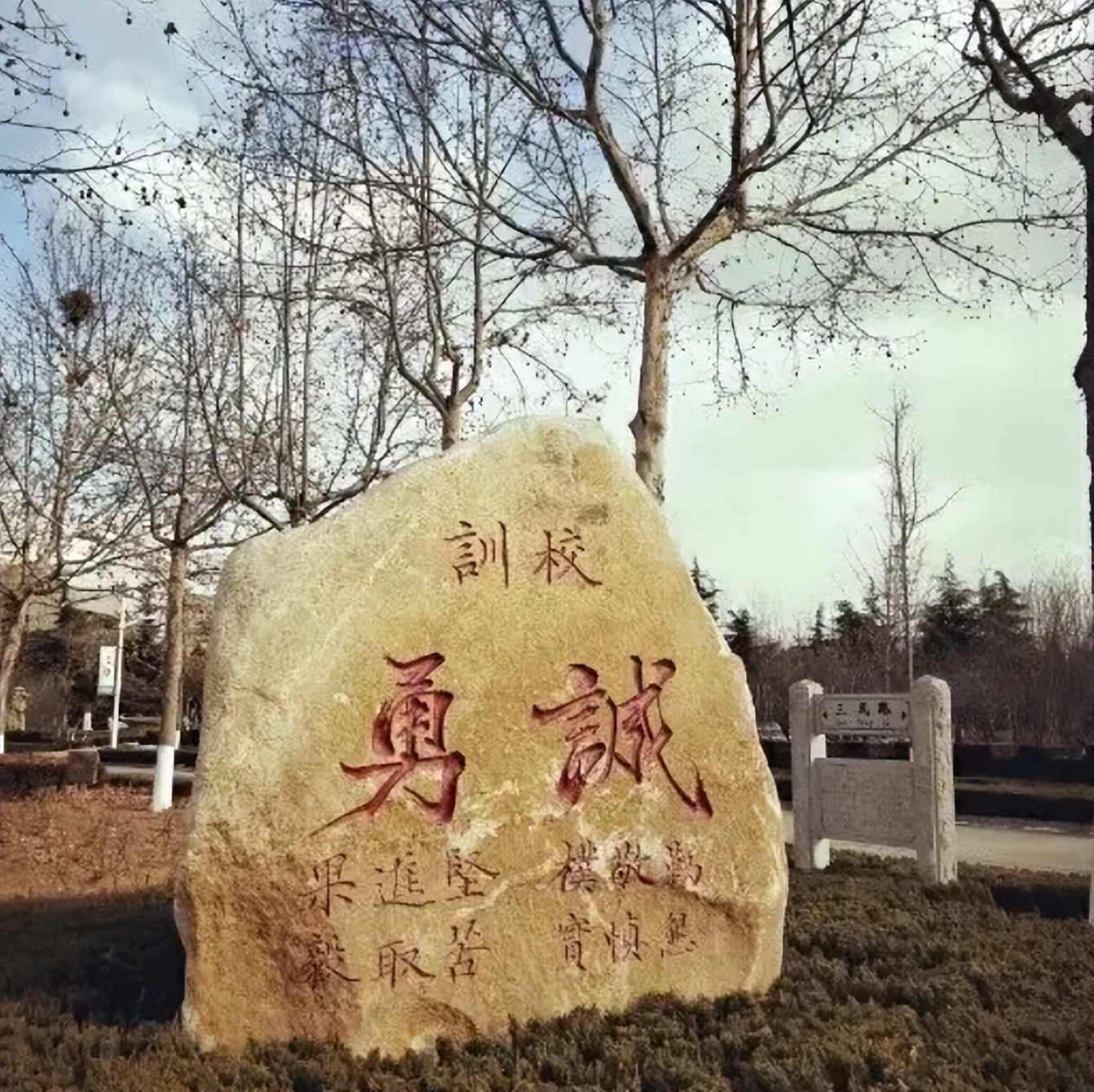 莱州一中厉害吗,莱州一中有多牛