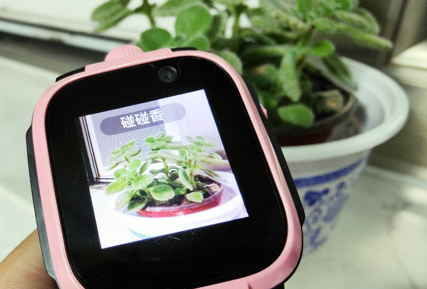 带小朋友去买小天才儿童电话手表,小寻3儿童电话手表测评