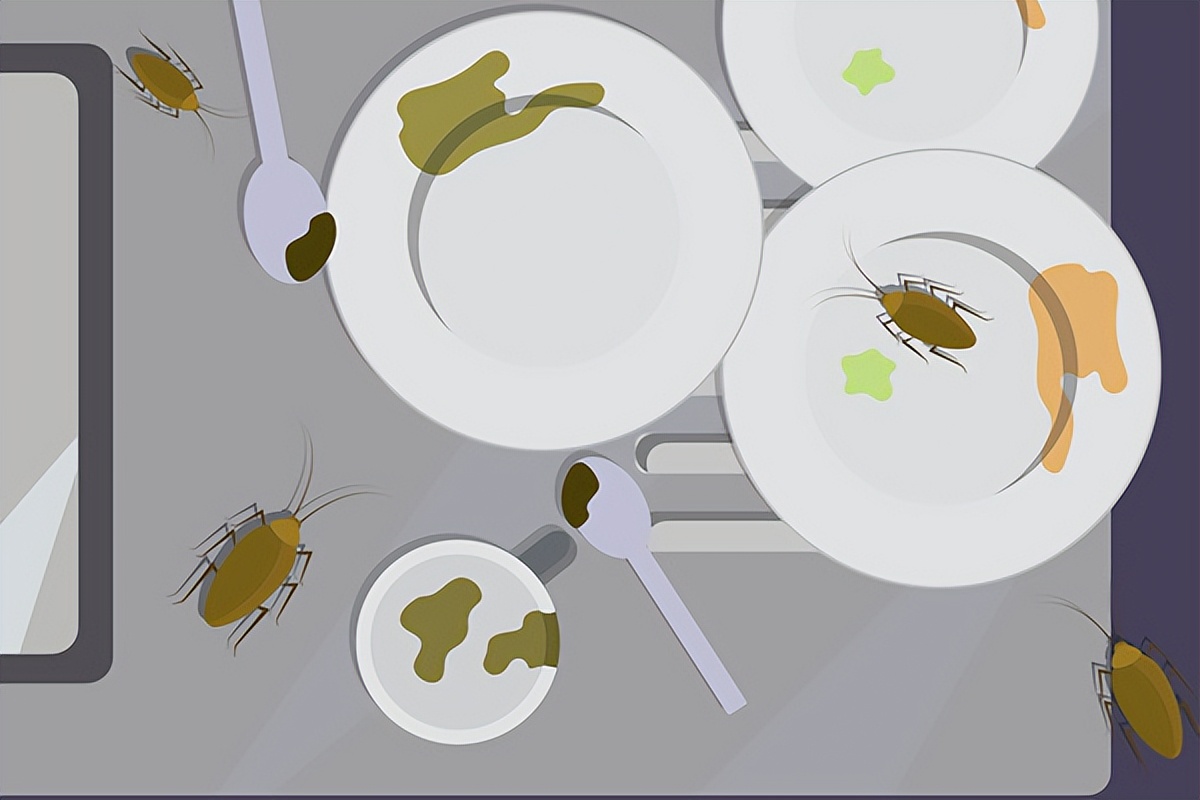 办公室蟑螂怎么正确消灭最彻底,家里最近有蟑螂怎么能彻底消灭