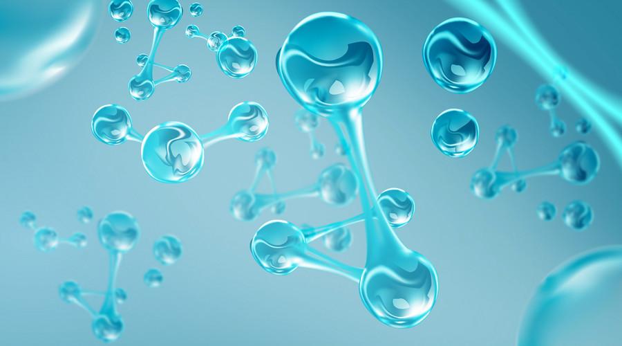 日本人动物胚胎实验长啥样,日本人动物胚胎实验