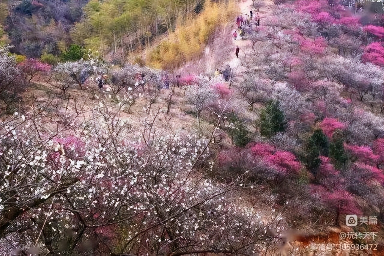 安吉竹海自驾游攻略一日游,安吉竹海旅游攻略二日游