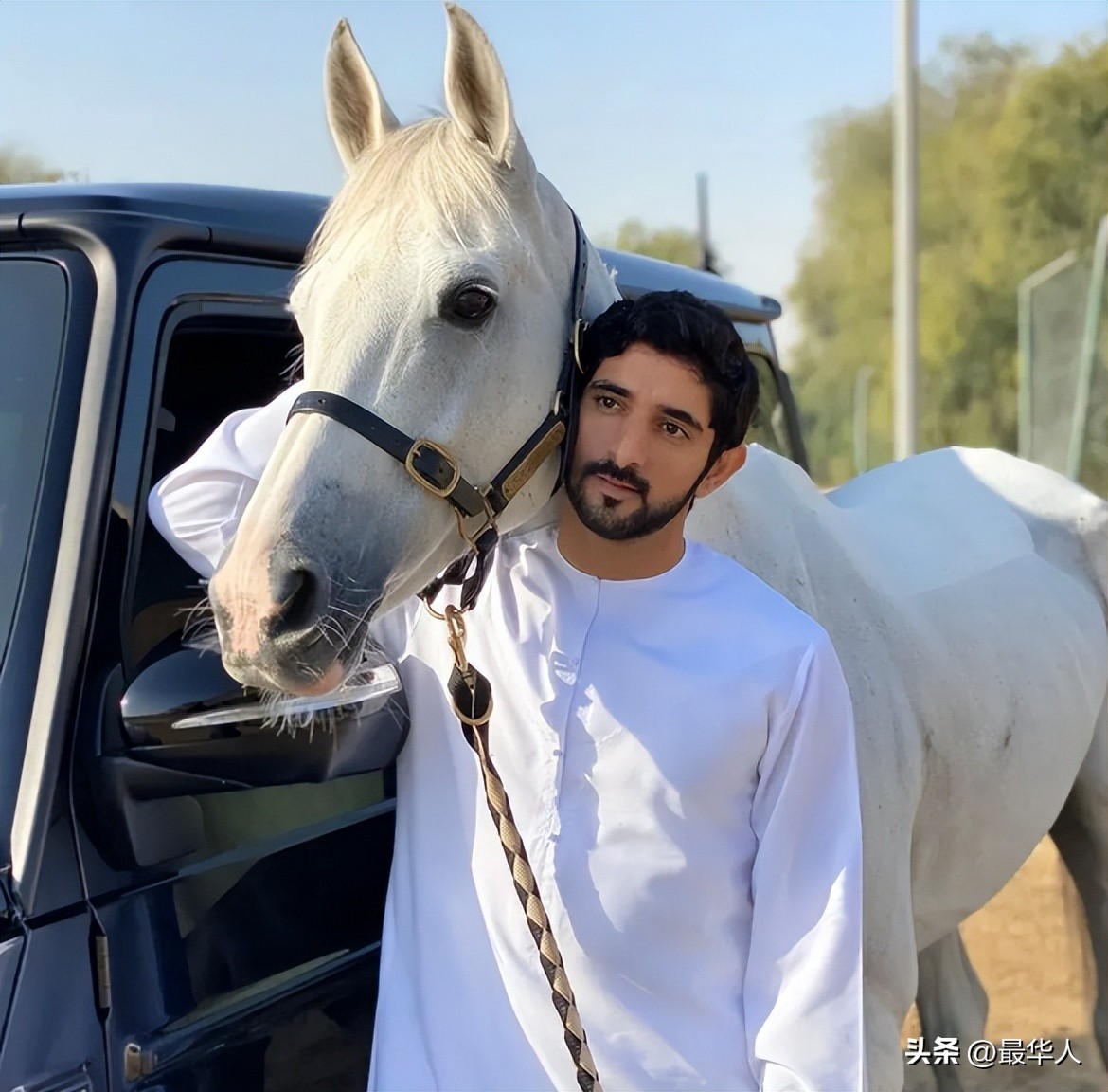 迪拜养狮子的土豪是谁,迪拜土豪养的老虎和狮子谁厉害