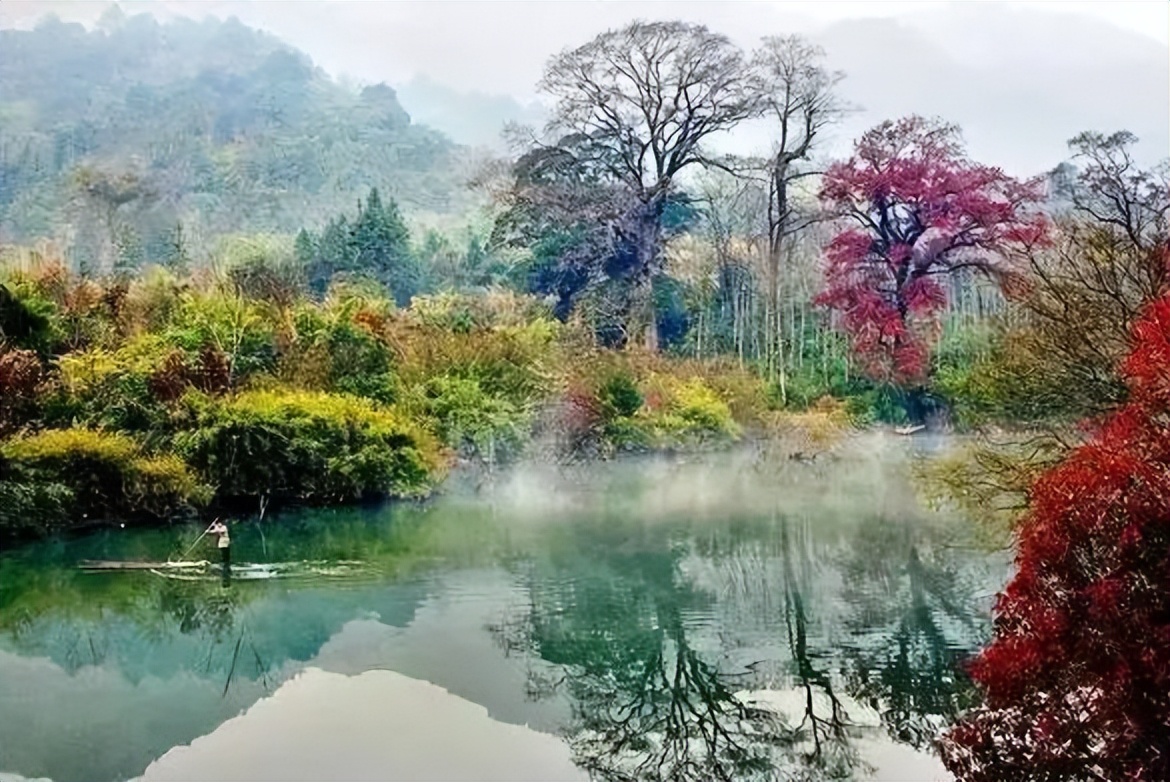 韶关小坑国家森林公园游玩攻略,韶关市内小景点