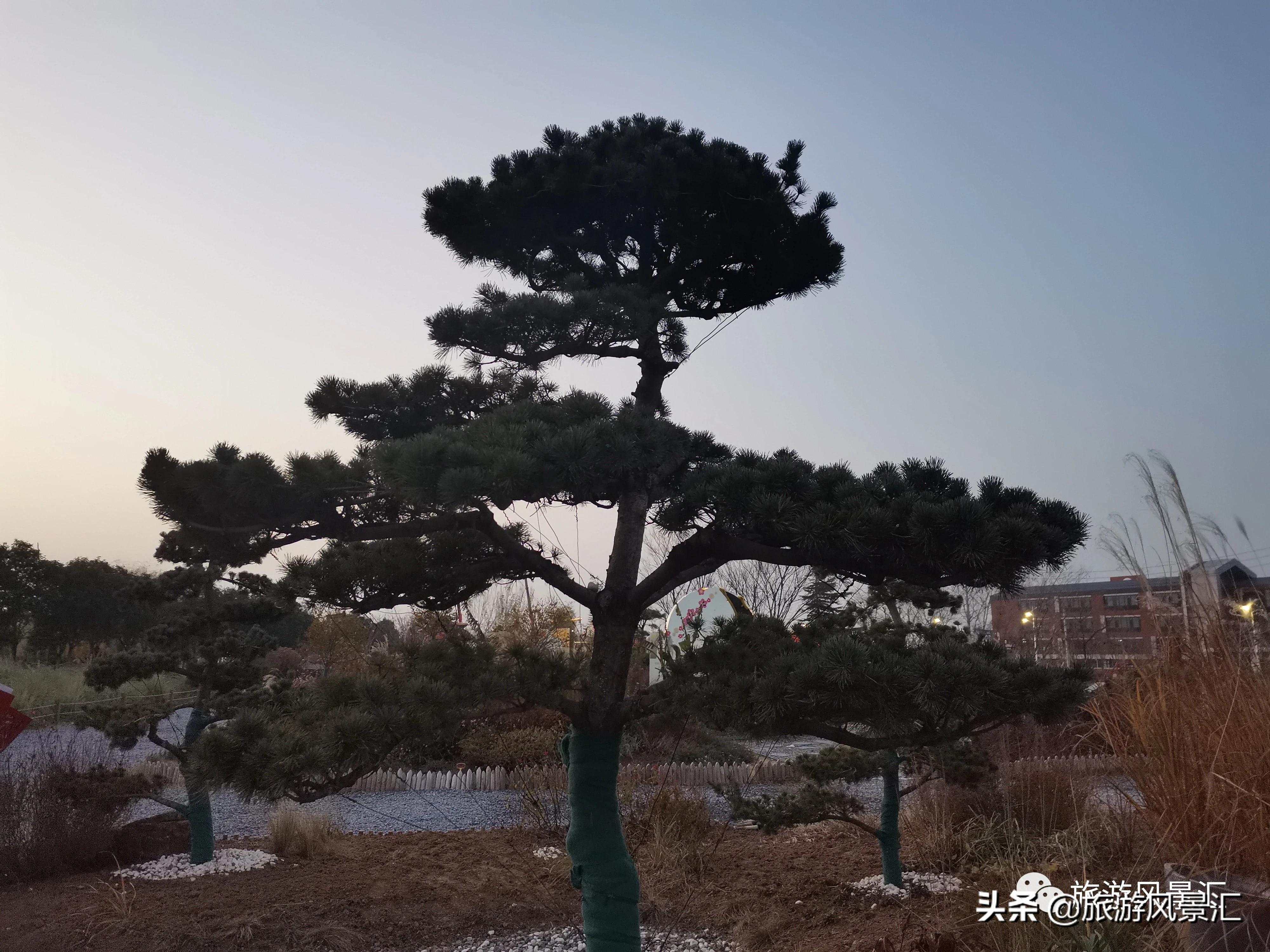 郑州带娃打卡好去处免费公园,郑州北龙湖湿地公园网红打卡圣地