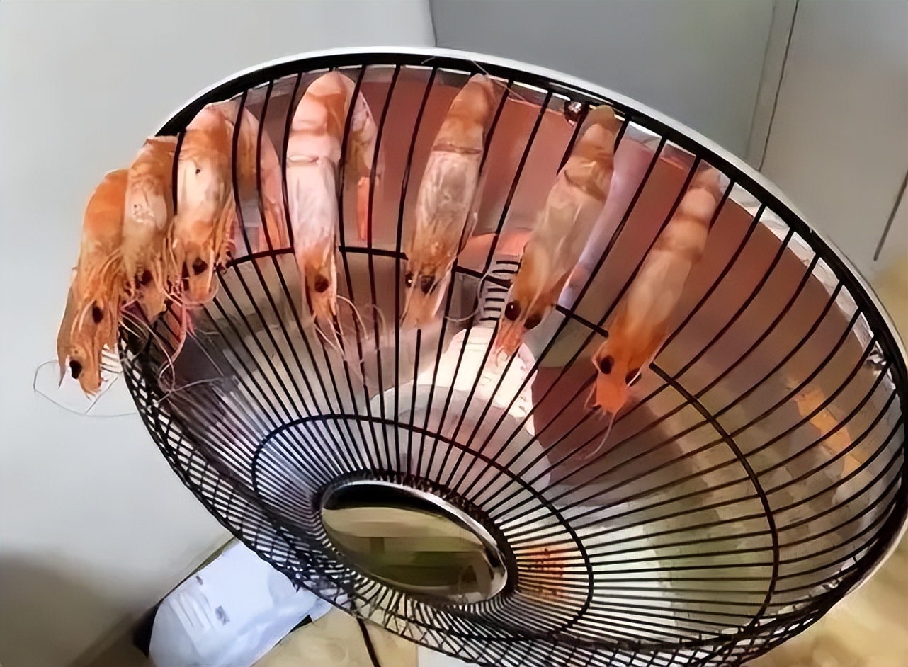 大学生辅导员宿舍查寝,大学生宿舍辅导员查寝