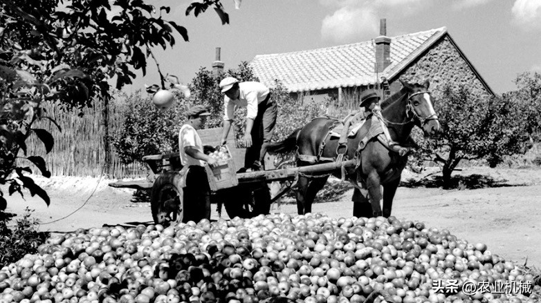 农业合作社的经营特点,我国农业合作社发展史