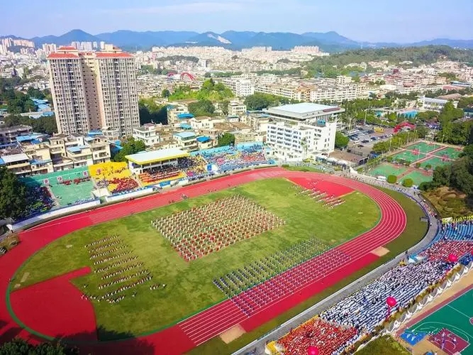 影豹和广州队,影豹广州店