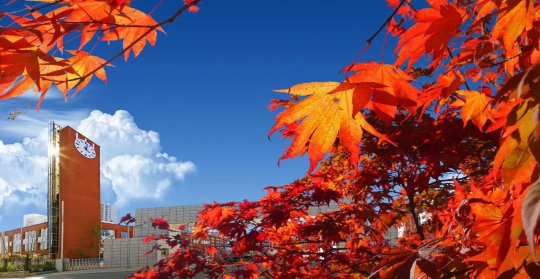 秋季限定|昆明九所学校，送你诗意校园里的一抹金