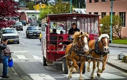 一个鸡蛋优惠团购,一个鸡蛋2毛5元