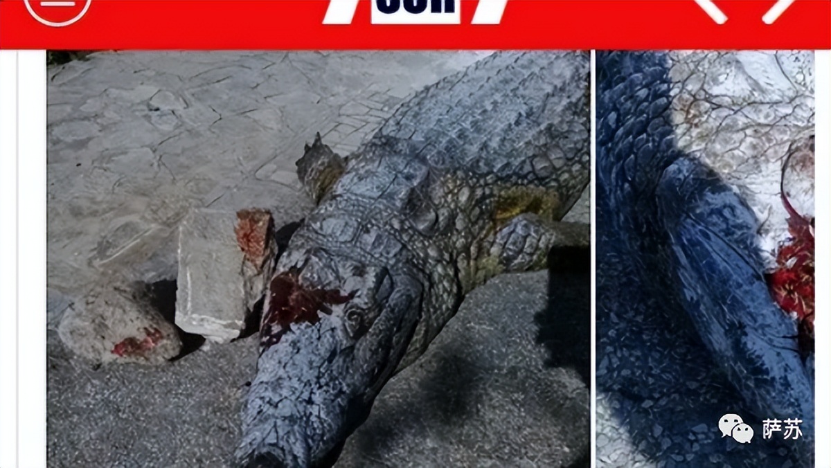 韩愈是怎么赶走鳄鱼的,韩愈写给鳄鱼的话