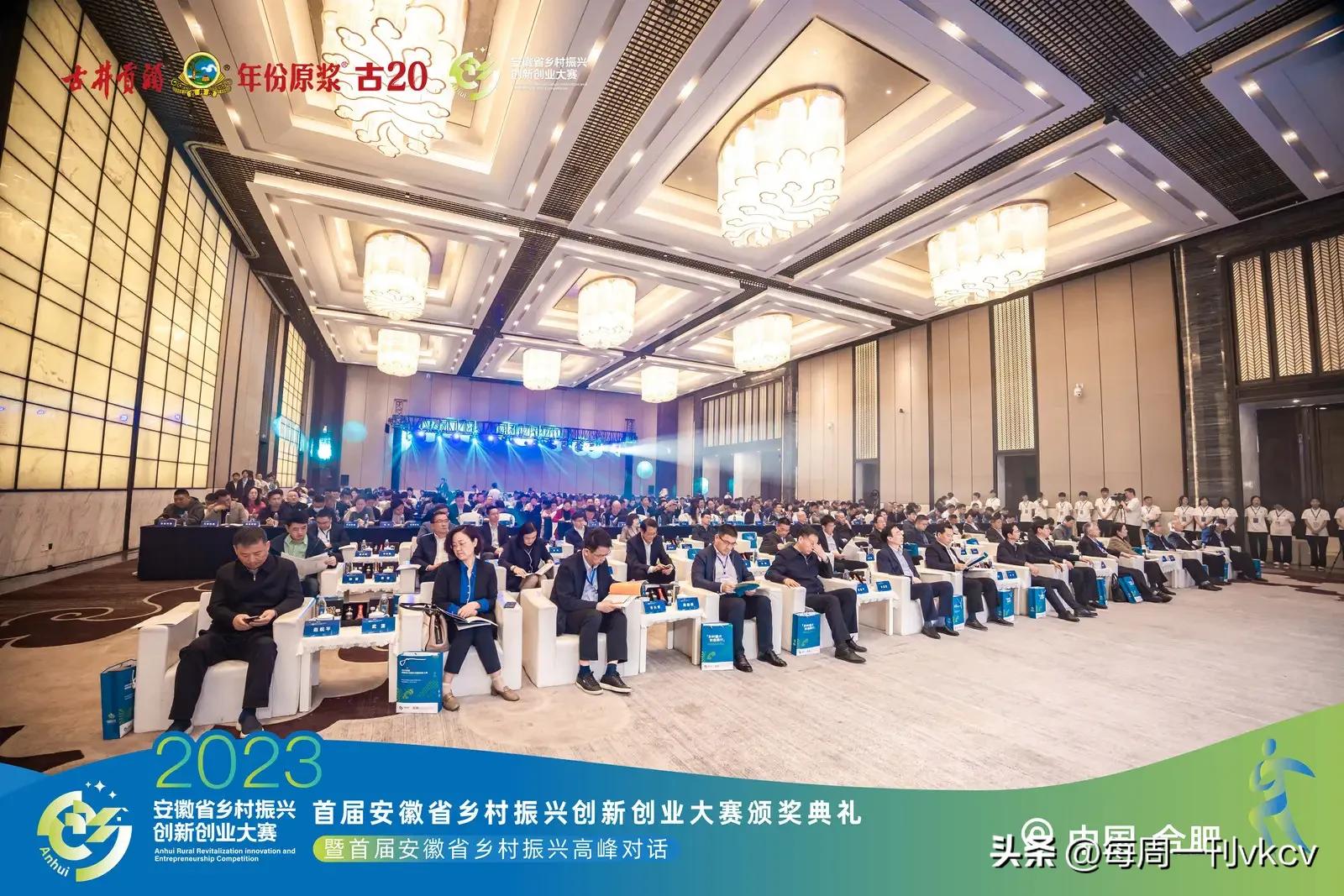 安徽省乡村振兴创新创业大赛作品,安徽乡村创新创业大赛