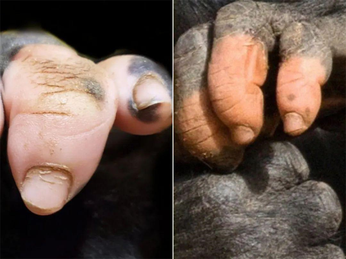 25张“活久见”的罕见图片,10张活久未见的图片