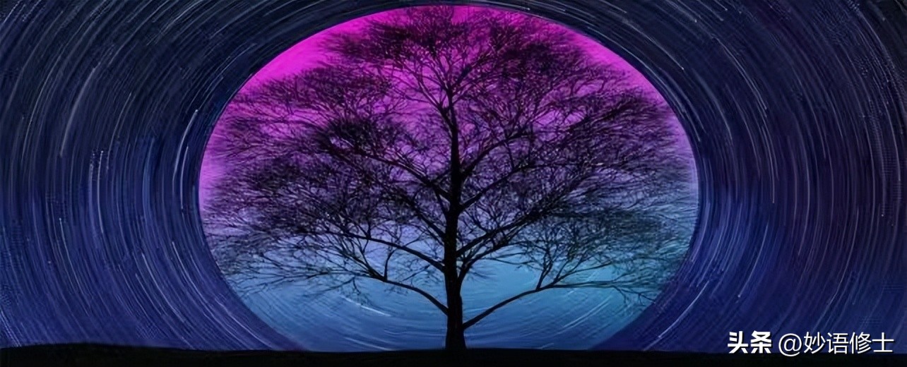 木头造卫星,木头也能做的东西