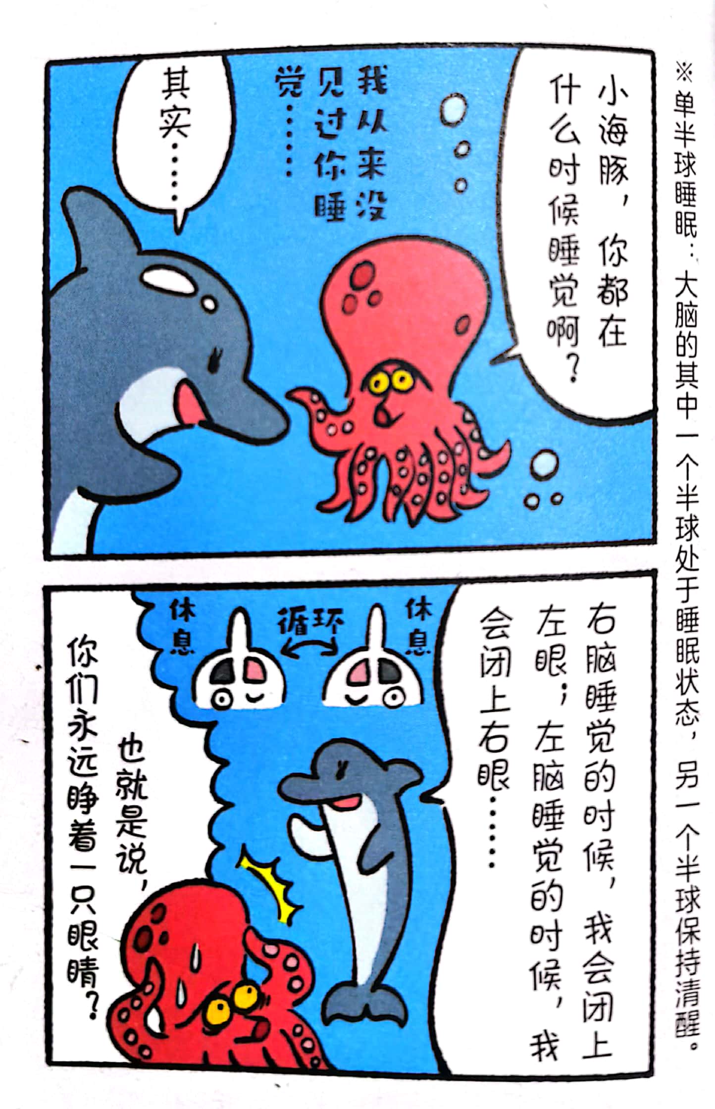 熊猫有几条腿是四条还是两条,你知道熊猫有几根脊椎骨吗