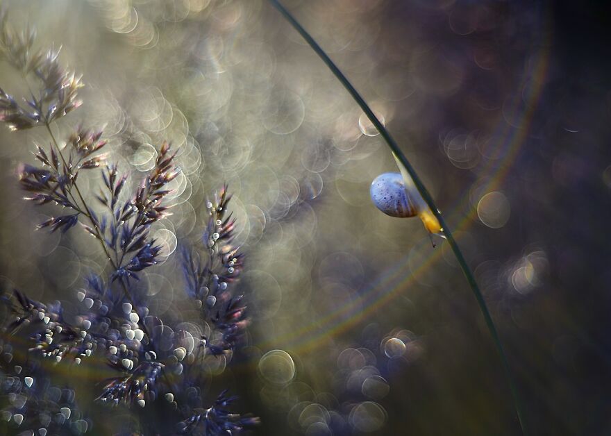 大自然的美景秋天摄影照片,美丽的大自然春夏秋冬图片大全